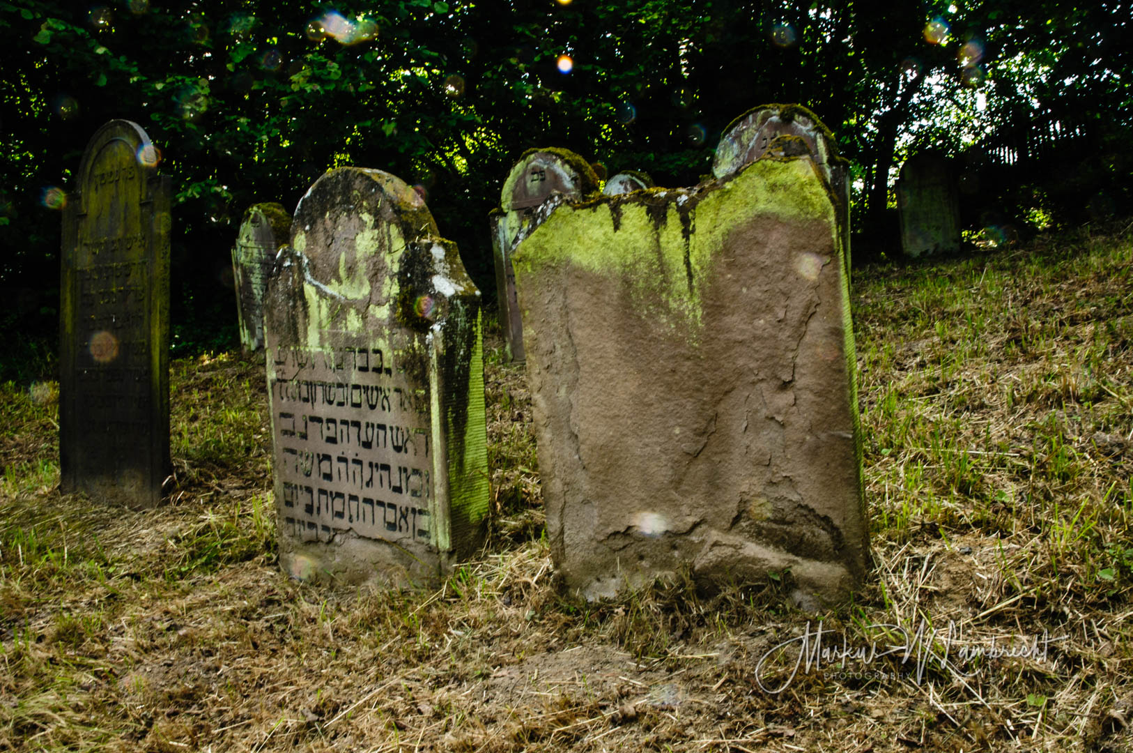 Jüdischer Friedhof Sielen
